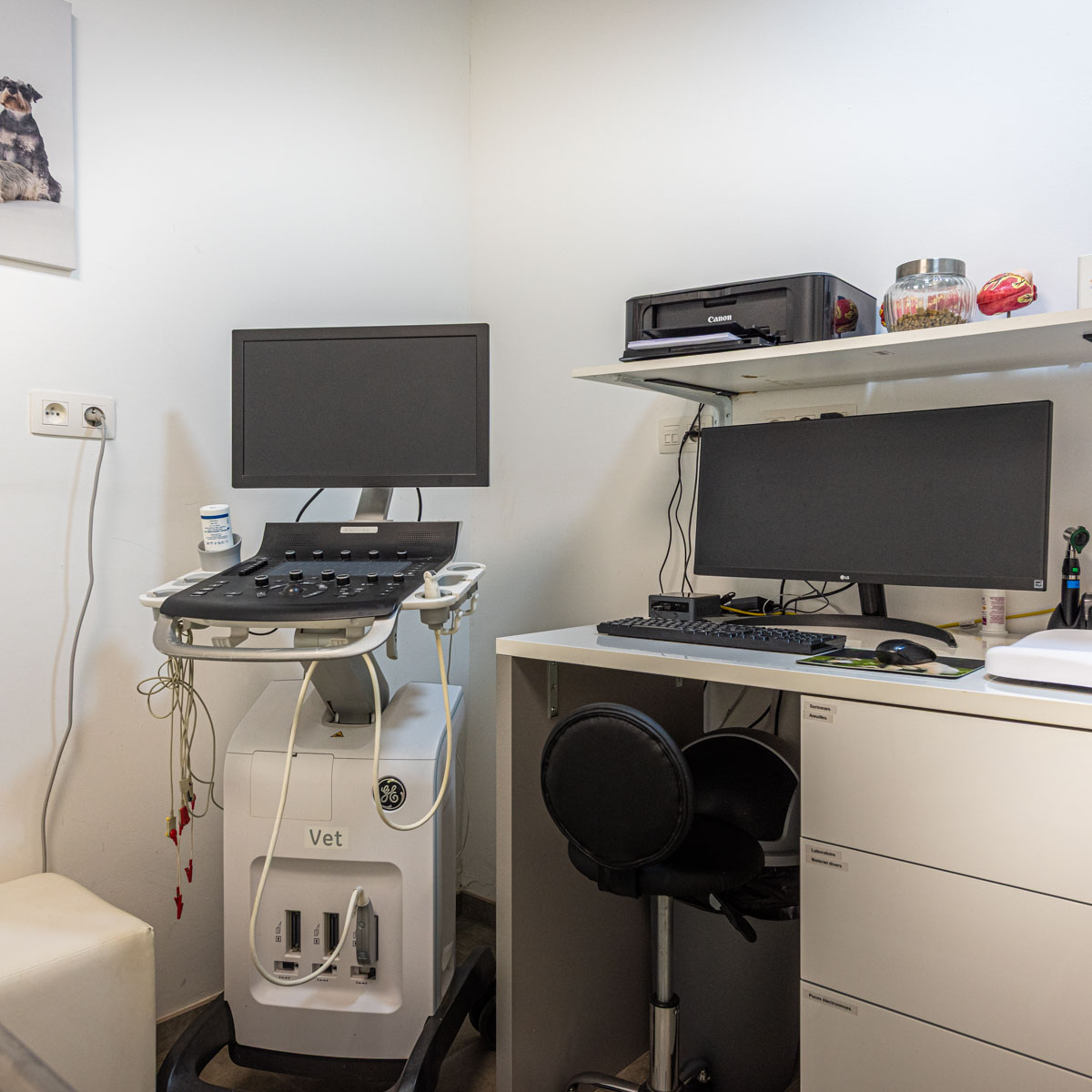 Cardiologie